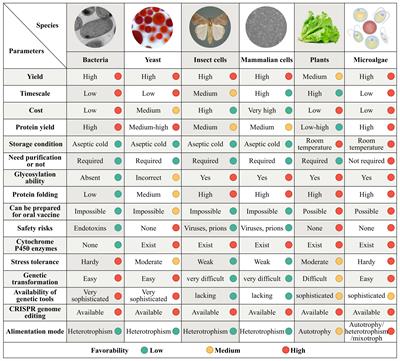 Microalgae: towards human health from urban areas to space missions